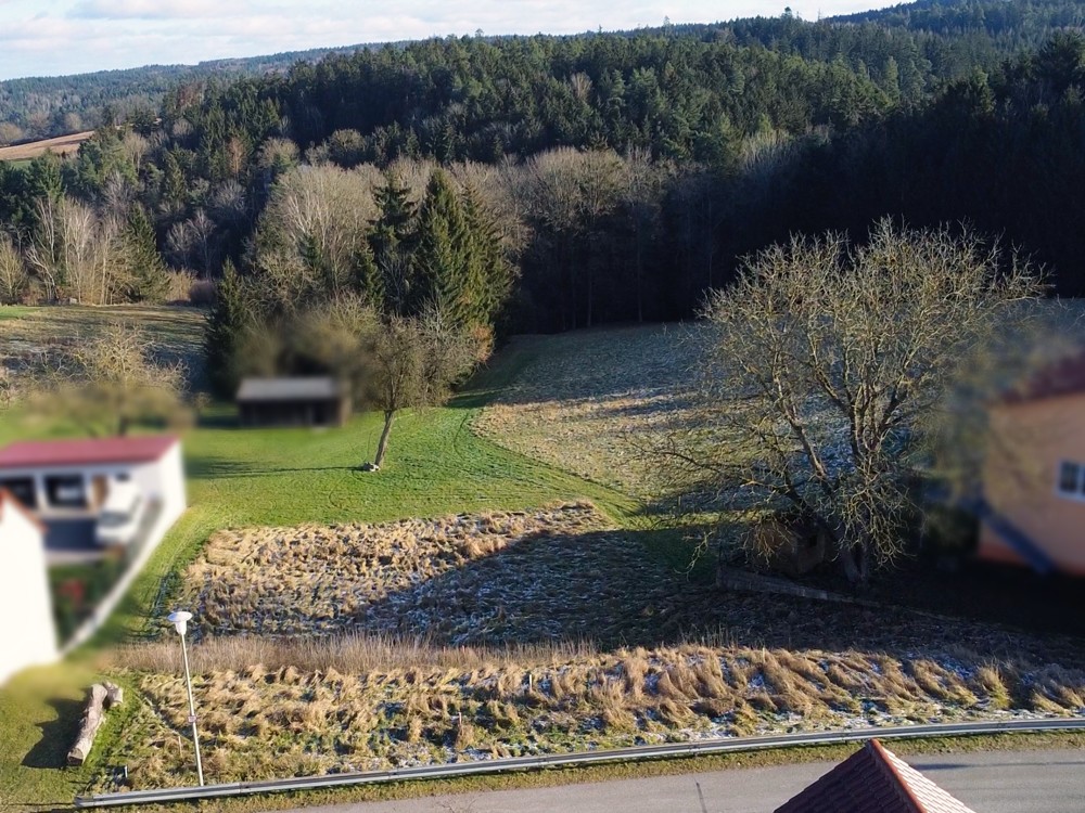 Ihr Blick
