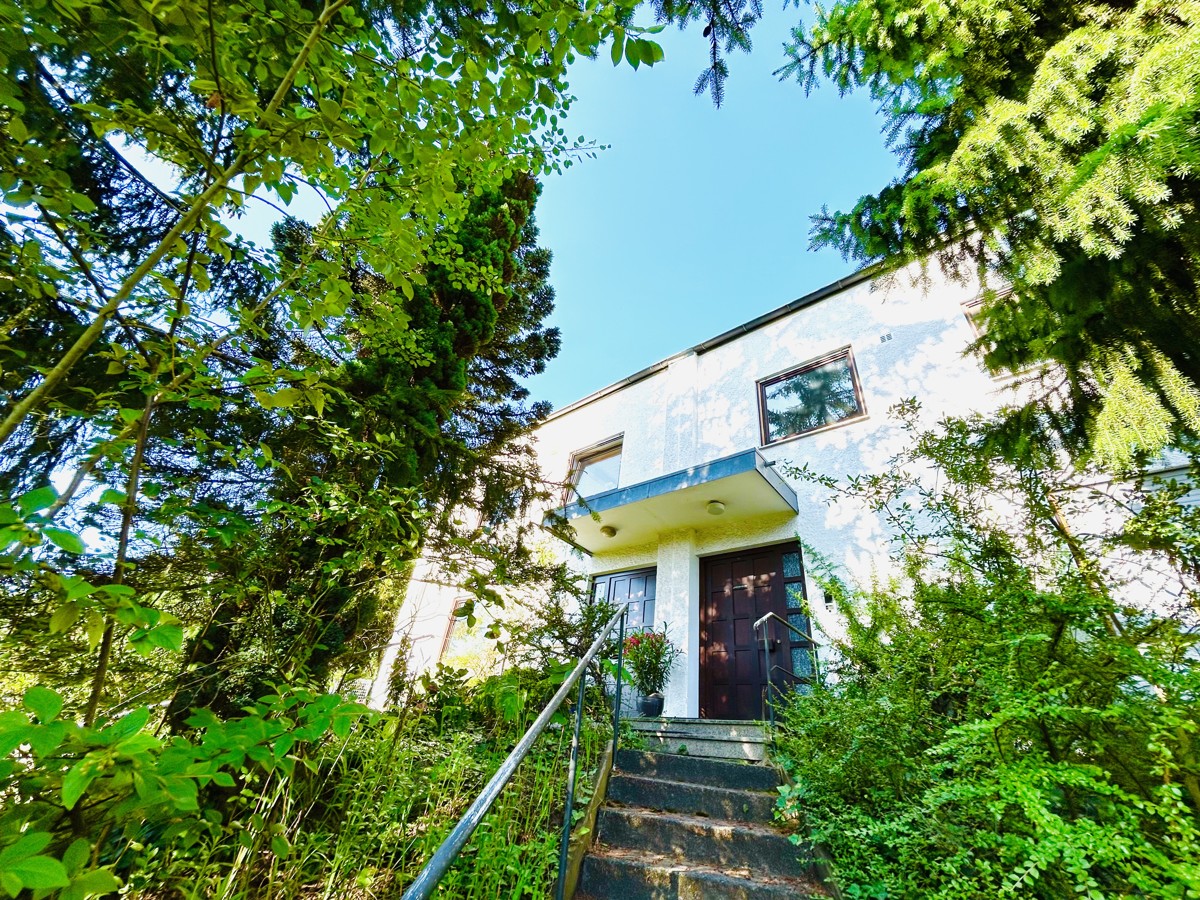 Ihre Doppelhaushälfte von der Straße & Treppe