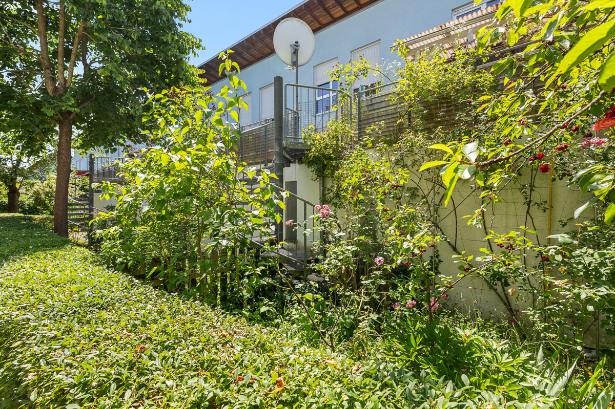 3 REH Burgweinting-86